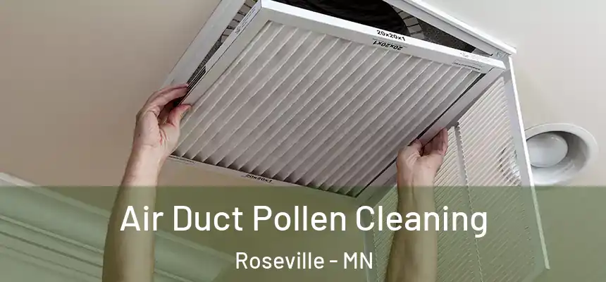  Air Duct Pollen Cleaning Roseville - MN