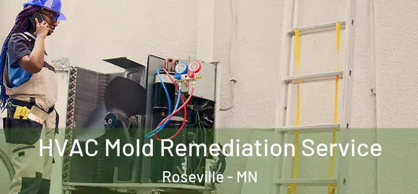  HVAC Mold Remediation Service Roseville - MN