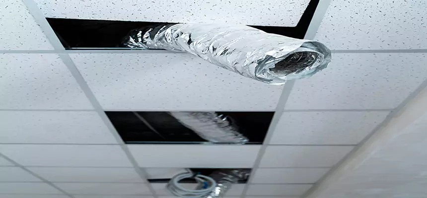 Our Air Duct Pet Hair Removal Services in Roseville, MN