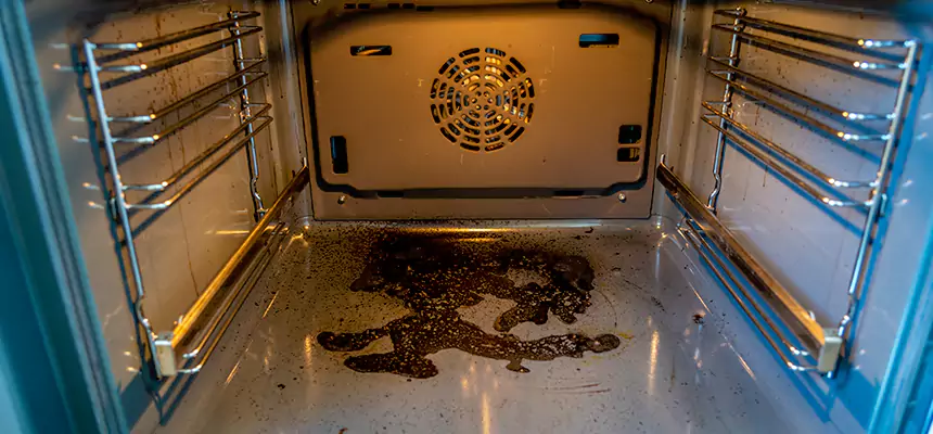 Our Dryer Vent Mold Cleaning Services in Roseville, MN