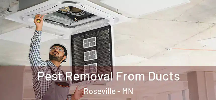  Pest Removal From Ducts Roseville - MN