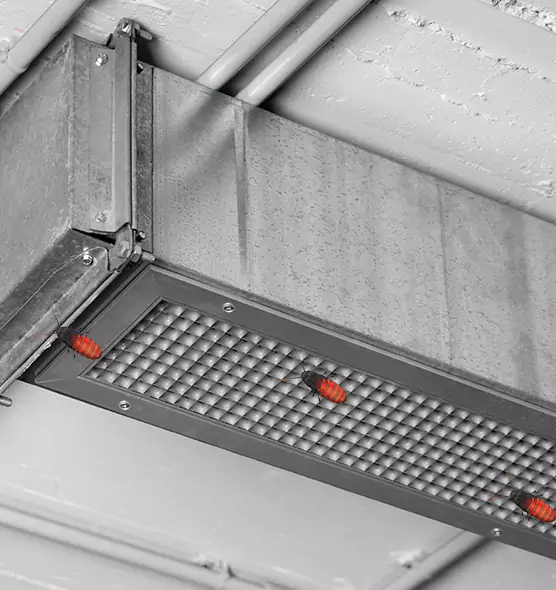 About Air Duct Cockroach Removal in Roseville, MN