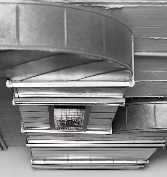 Professional Air Duct Pest Removal in Roseville, MN