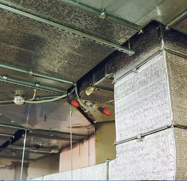 Why Homeowners & Businesses Trust Us in Roseville, MN?