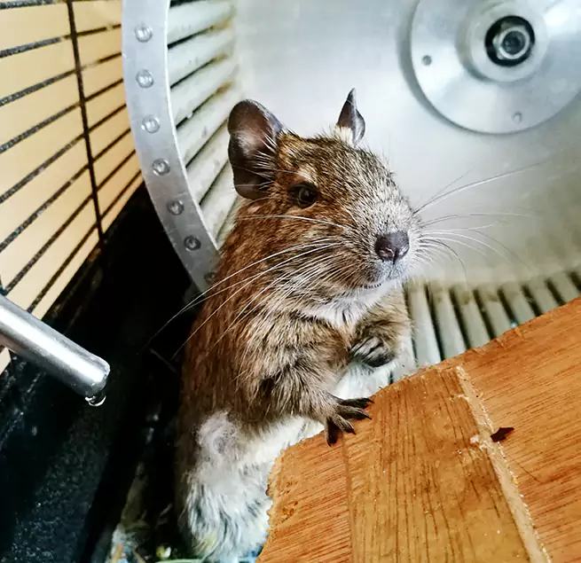 Why Homeowners & Businesses Trust Us Roseville, MN