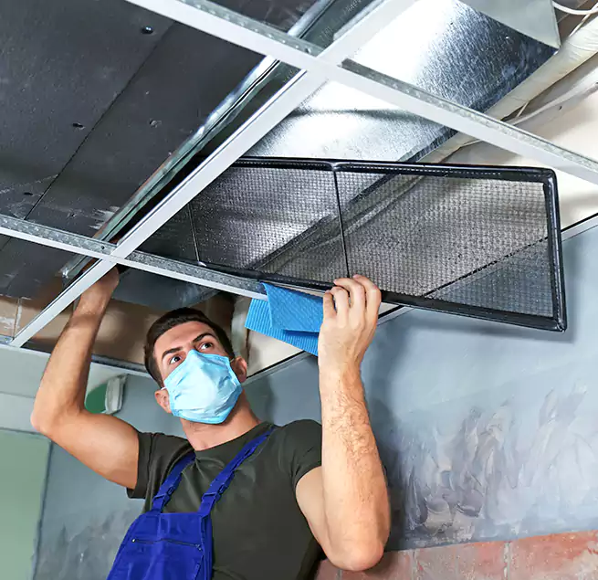 Why Homeowners Businesses Trust Us in Roseville, MN