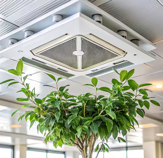 Why Homeowners & Businesses Trust Us in Roseville, MN?