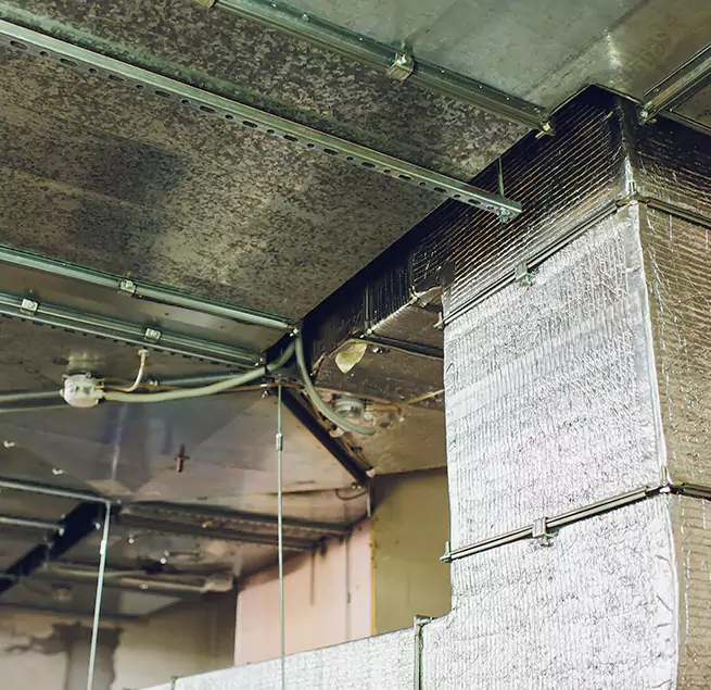 Why Homeowners & Businesses Trust Us in Roseville, MN?